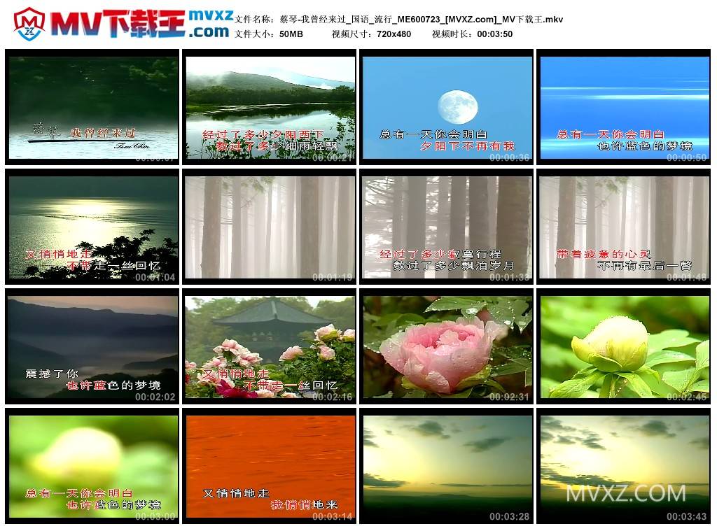 蔡琴-我曾经来过_国语_流行_ME600723